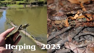 Epic Salamanders and Snakes Herping 2023 [upl. by Yim336]