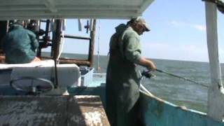 COMMERCIAL FISHING FOR SHEEPSHEAD WITH CANE POLES AND ROD AND REEL [upl. by Enilehcim]