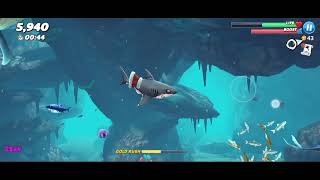 game hungry Shark world shark video game [upl. by Oicneserc]