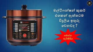 Multicooker Experience  මල්ටිකුකර් එකේ ක්‍රියාකාරිත්වය 🤔Episode 63 [upl. by Torhert]