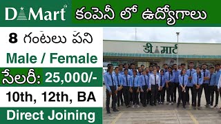 Dmart లో ఉద్యోగాలు  Dmart recruitment 2024 without exam  New job vacancy 2024 [upl. by Rozanne]