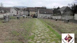 Champagne Bollinger  clos de vignes en foule pour élaborer la Cuvée Vieilles Vignes Françaises [upl. by Mikihisa375]