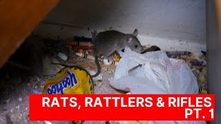 Rat Infested Hoarding Nightmare Pt 1  Fort Myers FL [upl. by Ecreip]