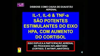 Dr Lair Ribeiro  Aula Glúten  parte 2 [upl. by Norvall]