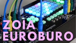 Empress ZOIA Euroburo Overview and Sound Experiments [upl. by Alyahsat706]