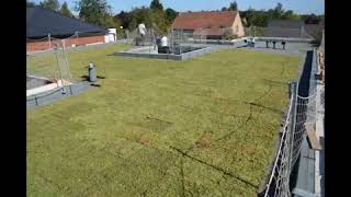 ECOSEDUM PACK  timelaps [upl. by Roxine]