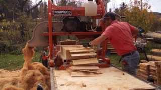 Sciage des bardeaux de cèdre pour notre chalet [upl. by Arayt612]