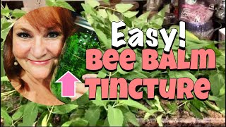 Make Bee Balm Tincture for Digestive Issues amp Natural Anti Anxiety Treatment [upl. by Yensehc451]