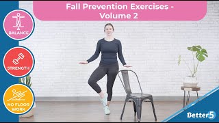 Fall Prevention Exercises  Volume 2 Preview [upl. by Assenal]