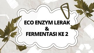 Eco Enzym Lerak dan Fermentasi ke 2 [upl. by Hareemas]