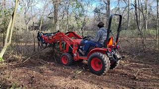 Smilax Anyone Clearing for a Driveway Fence Jan 2023 [upl. by Wartow]