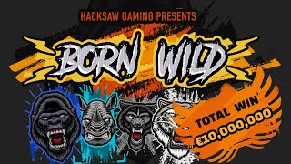 х10000000 Born Wild Hacksaw Gaming Online Slot MAX WIN [upl. by Anuayek]