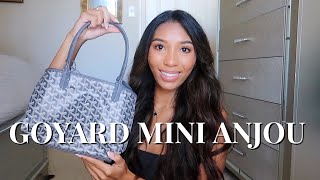 GOYARD MINI ANJOU REVIEW  SHEBAG [upl. by Narba989]