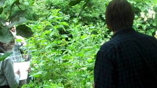 Martin Crawfords Forest Garden Part 3 [upl. by Aenyl]