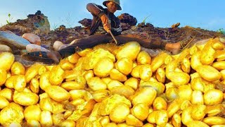 OMG Lucky Lucky Day Mining Gold  Finding and digging gold [upl. by Odiug]