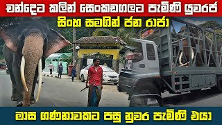 චන්දෙට කලින් නුවර ආපු සිංහ රාජායි ජන රාජයිSinha rajaamp Jana raja came to kandy [upl. by Yannodrahc]