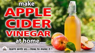 How to make APPLE CIDER VINEGAR and Vinegar MOTHER at home [upl. by Gove593]