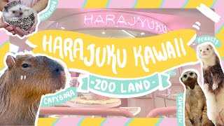 UNIQUE animal cafe in Harajuku  HARAJUKU KAWAII ZOO LAND  Real life CAPYBARA and MEERKAT 🦔 [upl. by Gonick431]