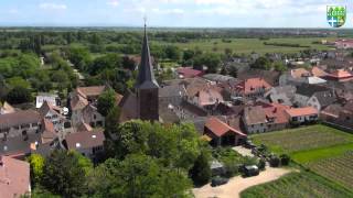 Deidesheim Forst Ruppertsberg Meckenheim Niederkirchen an der Weinstraße [upl. by Hizar]