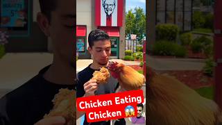 Chicken Eating Chicken 😱 asmr mukbang shorts kfc food chicken bankii HealthDirectindia [upl. by Saunderson]