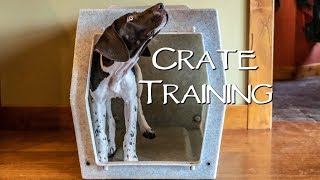 How To Crate Train Your New Puppy  Step 2 [upl. by Baniez936]