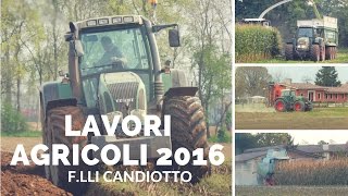 Lavori Agricoli 2016  F lli Candiotto [upl. by Shewmaker]