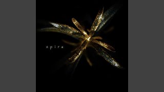 spira [upl. by Durware]