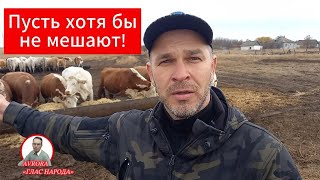 СЕЛЬСКИЕ ЖИТЕЛИ ПОЯСНИЛИ КУДА В СТРАНЕ ПРОПАЛО МАСЛО ОПРОС 2024 [upl. by Lyell]