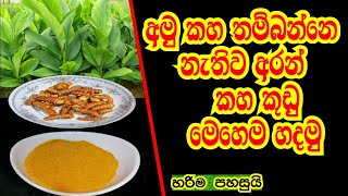 අමු කහ තම්බන්නෙ නැතිව කහ කුඩු හදන විදිය  IWUM PIHUM KALAWA [upl. by Gui]