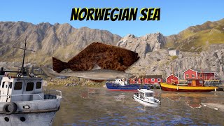 Russian Fishing 4 RF4  Norwegian Sea  New spot Halibut and Spiny Dogfish 4600 silver in 5 hours [upl. by Siroved]