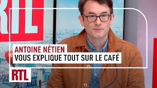 Antoine Nétien vous explique tout sur le café intégrale [upl. by Valerle]