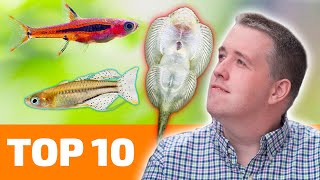 Top 10 Nano Fish for Freshwater Aquariums [upl. by Ainuj]