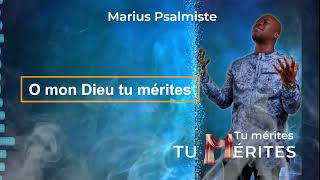 Marius Psalmiste  TU MERITES LYRIC [upl. by Bergeron]