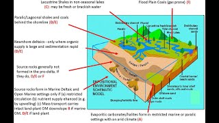 دور بيئات الترسيب في تكوين البترول والغاز الطبيعي Depostional environments and Kerogen types [upl. by Naomi]