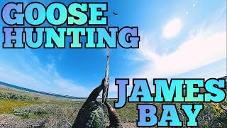 Spring Goose Hunting with my Insta360 One X2 Camera in James Bay June 2024 [upl. by Nyahs676]