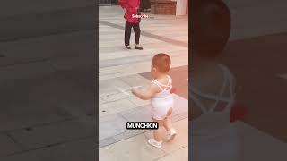 quotAdorable Toddlers First Walk on the Street – Cutest Little Steps 🤗 vialshorts trendingshorts [upl. by Atsedom]