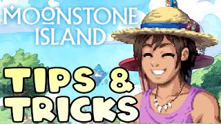 10 Beginner Tips You Should Know Before Playing Moonstone Island [upl. by Lalaj]