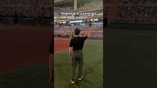 Umpiring in front of 38000 fans 🔥 mlb [upl. by Hippel]