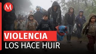 Desplazamiento masivo en Chiapas más de 700 personas huyen de la violencia [upl. by Shiekh843]