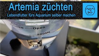 Artemia züchten und verfüttern  Lebendfutter selber machen  Fischfutter  JBL Artemio Set [upl. by Vivle158]