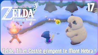 The Legend of Zelda Echoes of Wisdom 18 Zeldo combat dans le Temple de Lanelle [upl. by Nolubez]