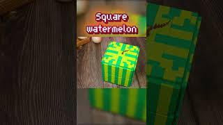 LEGO Square WaterMelon Dessert 🍧🍉 lego legoanimation asmr [upl. by Sgninnej864]