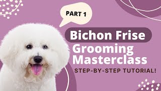 How to Groom a Bichon Frise  Bichon Frise Grooming Tutorial Part 1 [upl. by Zohara]