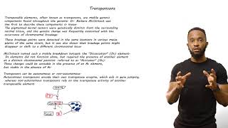 02 Transposons [upl. by Shep]