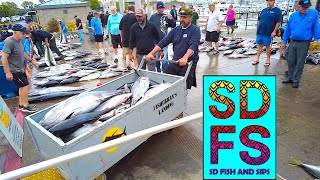 Bluefin Tuna Yellowtail Wahoo Rockfish  San Diego Sportfishing amp Fishing Report July 2023 SDFS [upl. by Ayital604]