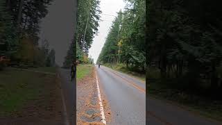 whidbey Island 🇺🇸 paseo en bicicleta [upl. by Debbra]