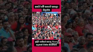 trending trendingshorts anurakumaradissanayake npp shorts short viralshorts video youtube [upl. by Lashondra49]