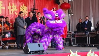 Chinese New Year Rotterdam 2017 [upl. by Aziaf868]