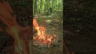 What happens when you use creek rocks on a fire [upl. by Rekrap]