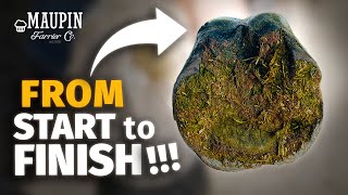 From Start To Finish  Satisfying Horse Hoof Restoration in 4K [upl. by Cadell]